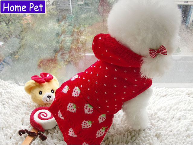?  Ʈ  巹 ׵  ܿ ֿ  Ƿ  ĿƮ ֿ  Ƿ , ũ A8/ Dog Sweaters Knitted strawberry dress Teddy fall and winter pet clothes Puppy dog